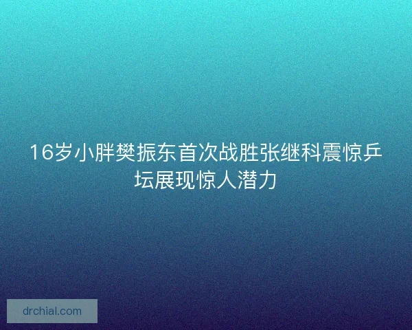 16岁小胖樊振东首次战胜张继科震惊乒坛展现惊人潜力